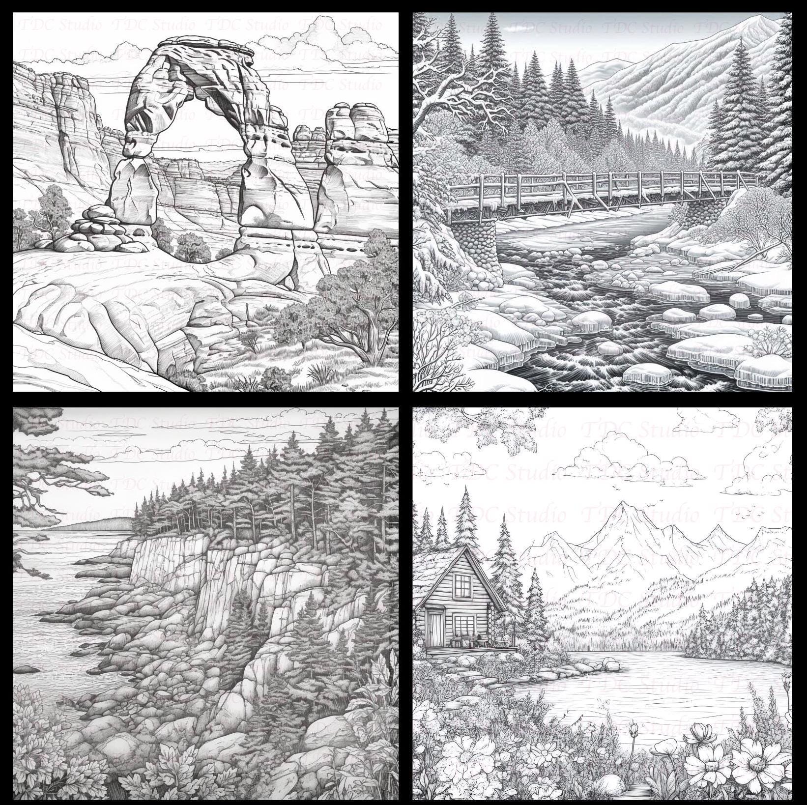 50+ Nature Scenic Coloring Pages