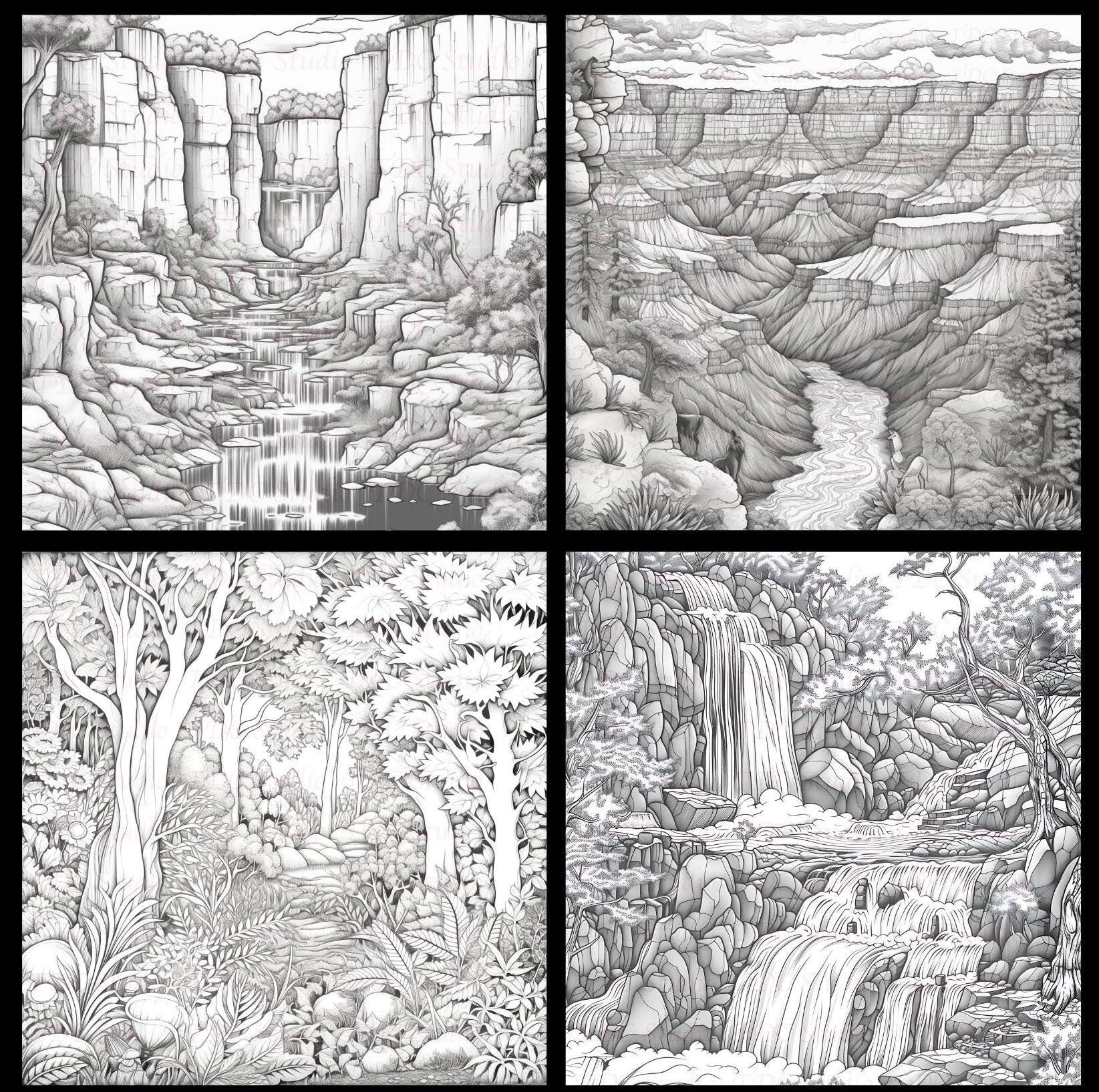 50+ Nature Scenic Coloring Pages