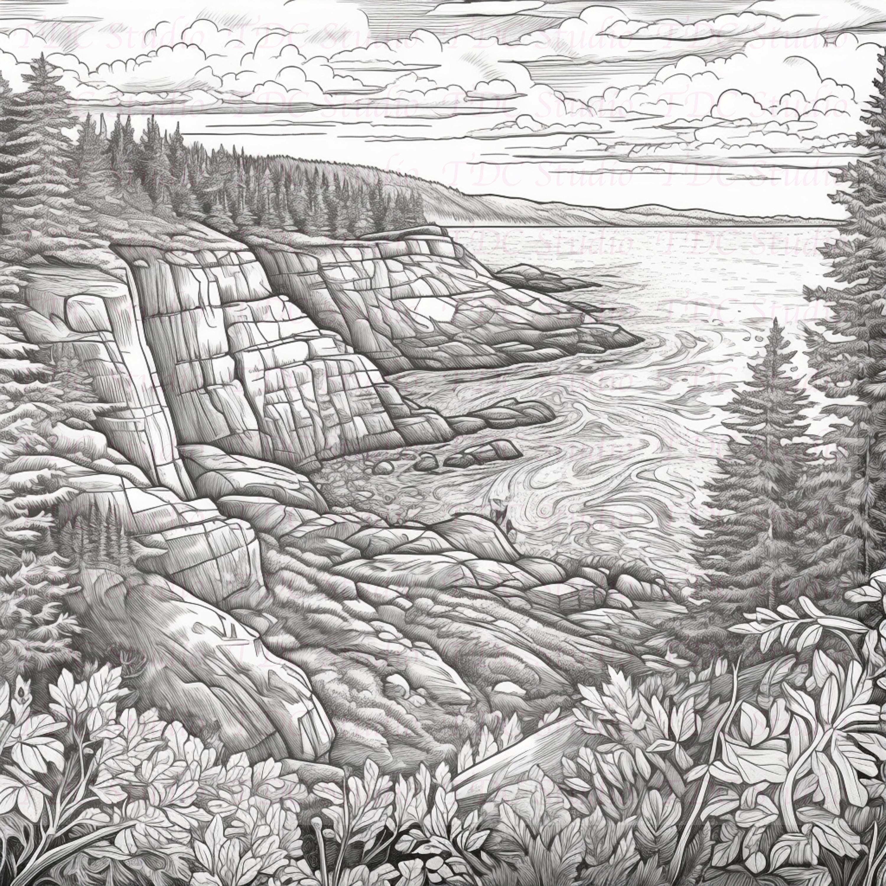50+ Nature Scenic Coloring Pages